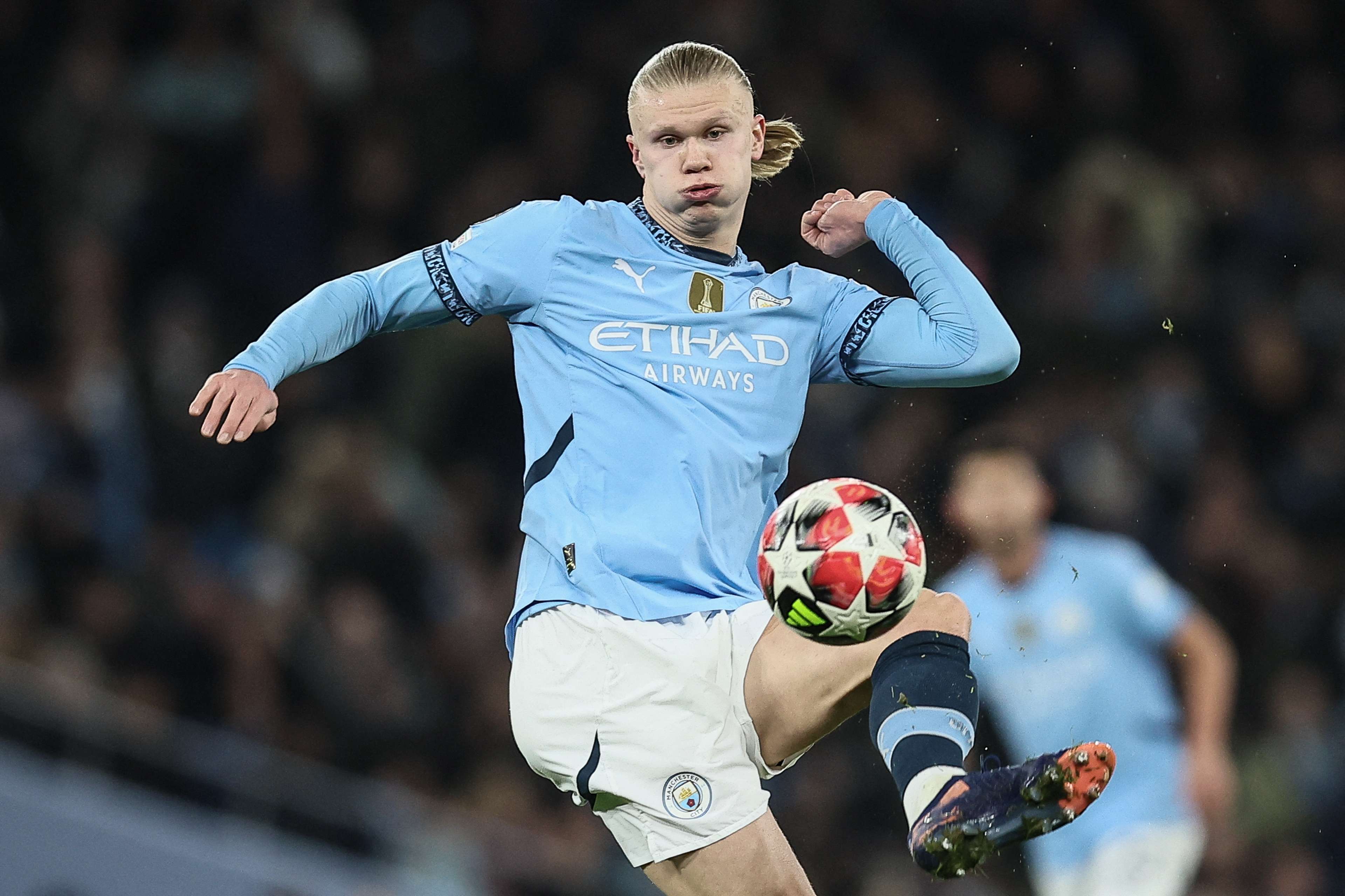 他们也采取 他们也采取