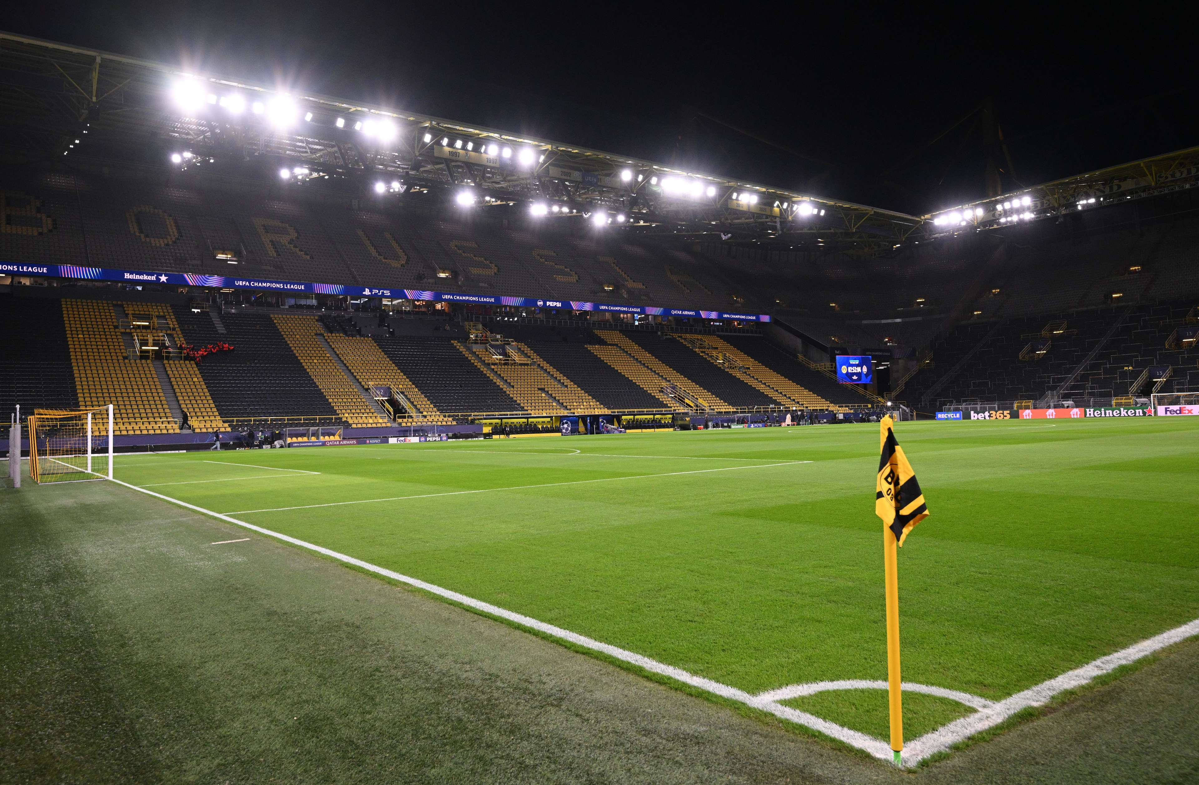 仅印证了他 仅印证了他